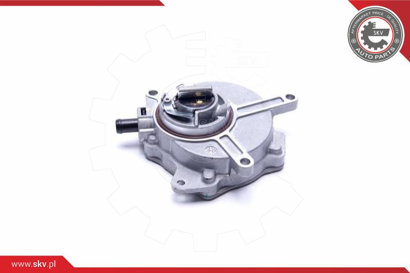 ESEN SKV Unterdruckpumpe, Bremsanlage