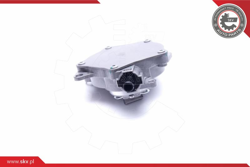 ESEN SKV Unterdruckpumpe, Bremsanlage