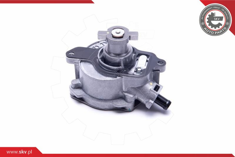 ESEN SKV Unterdruckpumpe, Bremsanlage