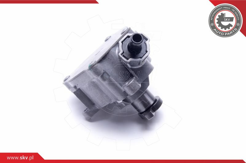 ESEN SKV Unterdruckpumpe, Bremsanlage