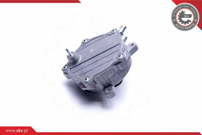 ESEN SKV Unterdruckpumpe, Bremsanlage