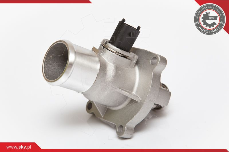 ESEN SKV Thermostat, Kühlmittel