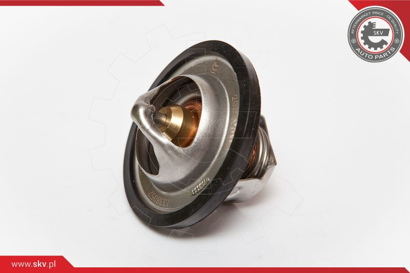 ESEN SKV Thermostat, Kühlmittel