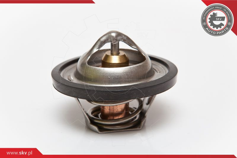 ESEN SKV Thermostat, Kühlmittel