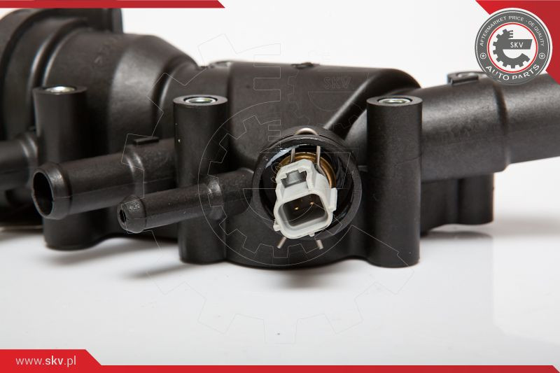 ESEN SKV Thermostat, Kühlmittel