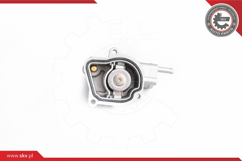 ESEN SKV Thermostat, Kühlmittel