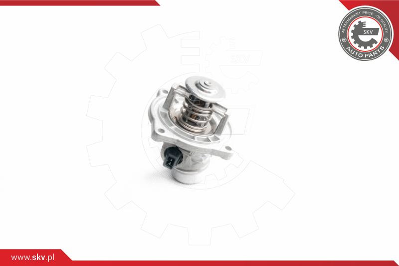 ESEN SKV Thermostat, Kühlmittel