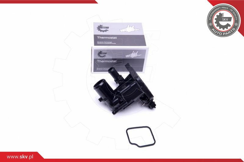 ESEN SKV Thermostat, Kühlmittel