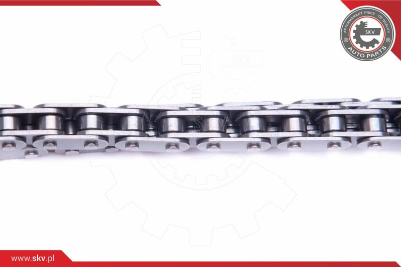 ESEN SKV Kettensatz, Ölpumpenantrieb ESEN SKV Kettensatz, Ölpumpenantrieb