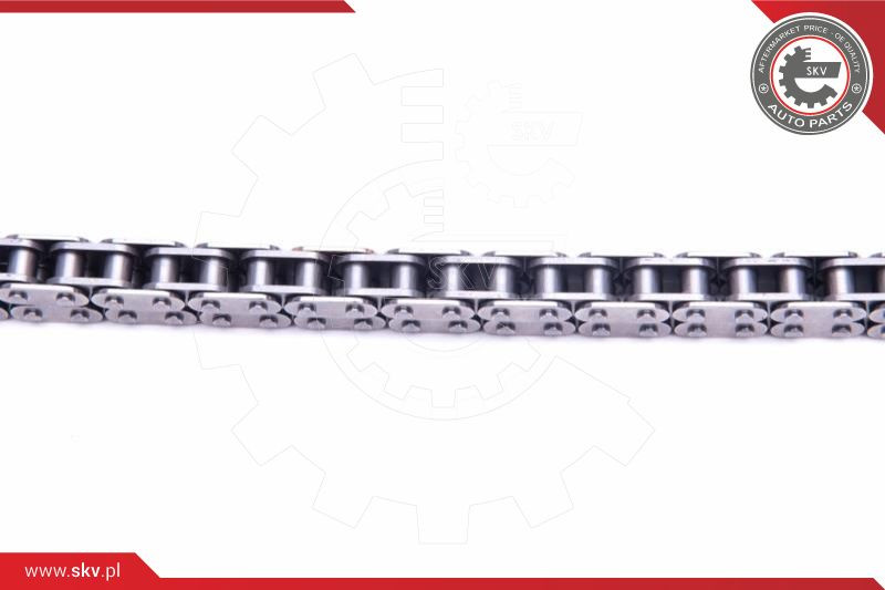 ESEN SKV Kettensatz, Ölpumpenantrieb