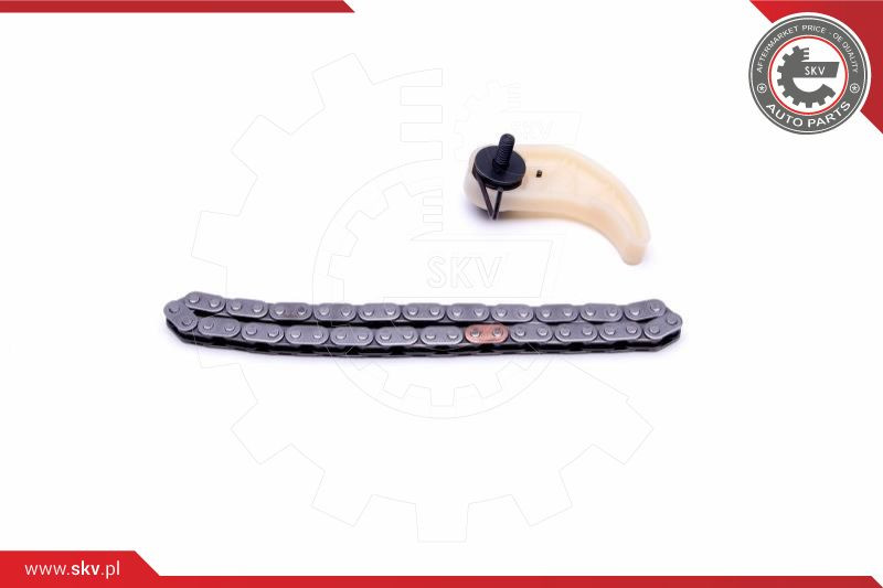 ESEN SKV Kettensatz, Ölpumpenantrieb