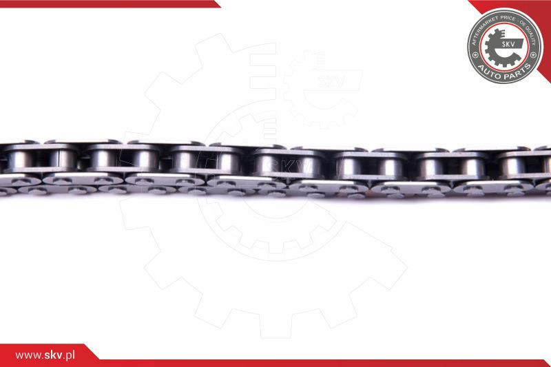 ESEN SKV Kettensatz, Ölpumpenantrieb