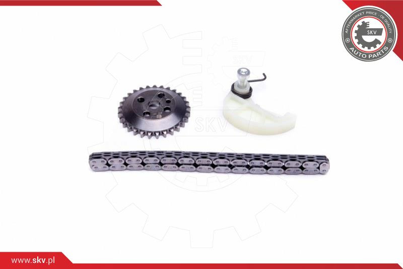 ESEN SKV Kettensatz, Ölpumpenantrieb