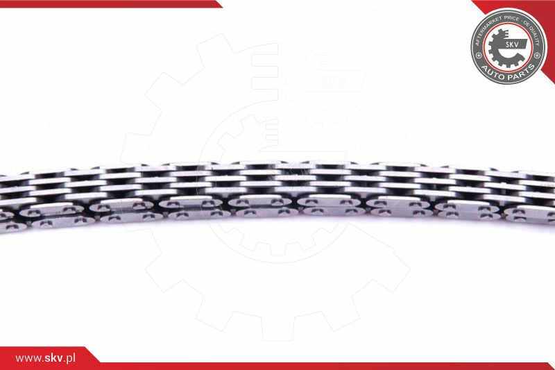 ESEN SKV Kettensatz, Ölpumpenantrieb