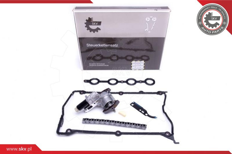 ESEN SKV Steuerkettensatz