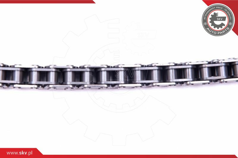 ESEN SKV Steuerkettensatz