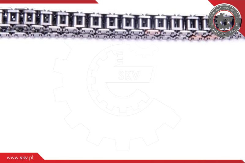 ESEN SKV Steuerkettensatz