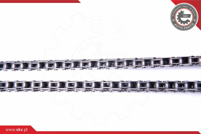 ESEN SKV Steuerkettensatz