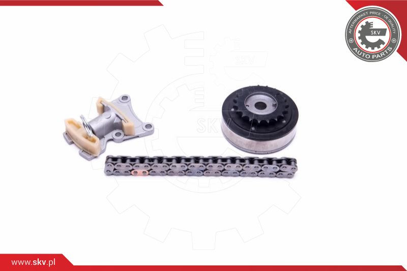 ESEN SKV Steuerkettensatz