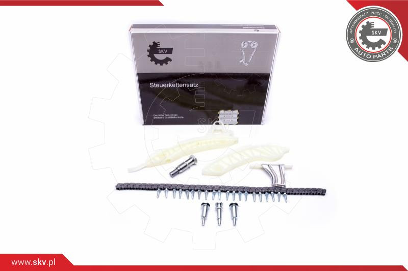 ESEN SKV Steuerkettensatz