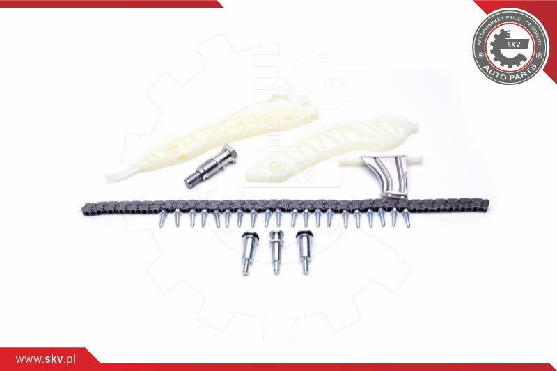 ESEN SKV Steuerkettensatz