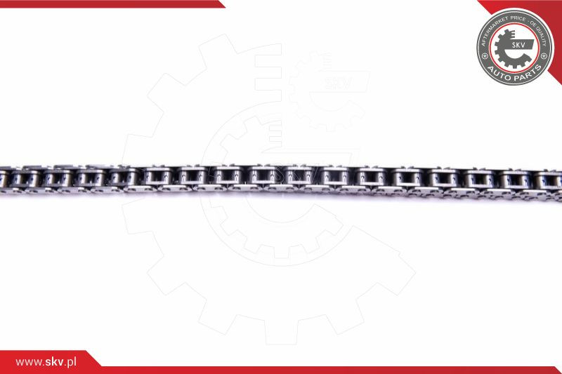 ESEN SKV Steuerkettensatz