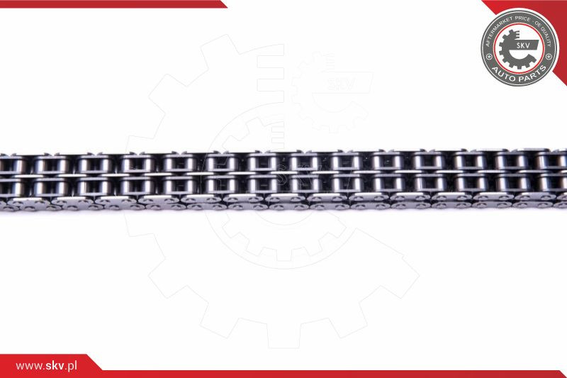 ESEN SKV Steuerkettensatz