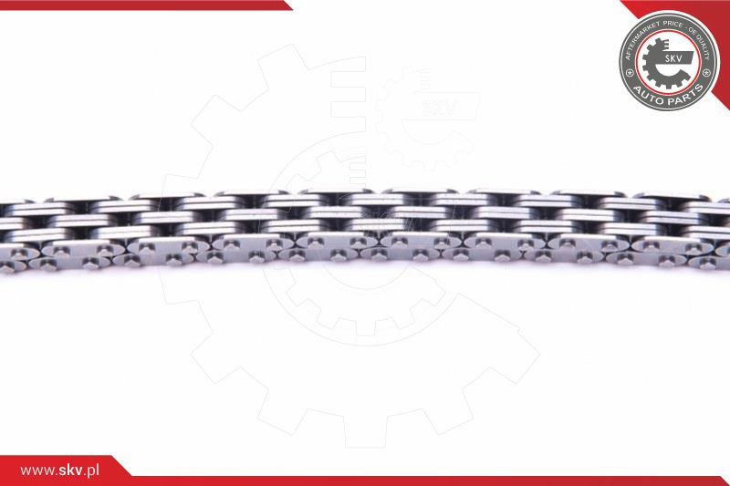 ESEN SKV Steuerkettensatz