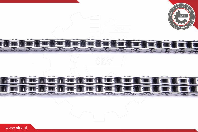 ESEN SKV Steuerkettensatz