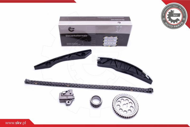 ESEN SKV Steuerkettensatz