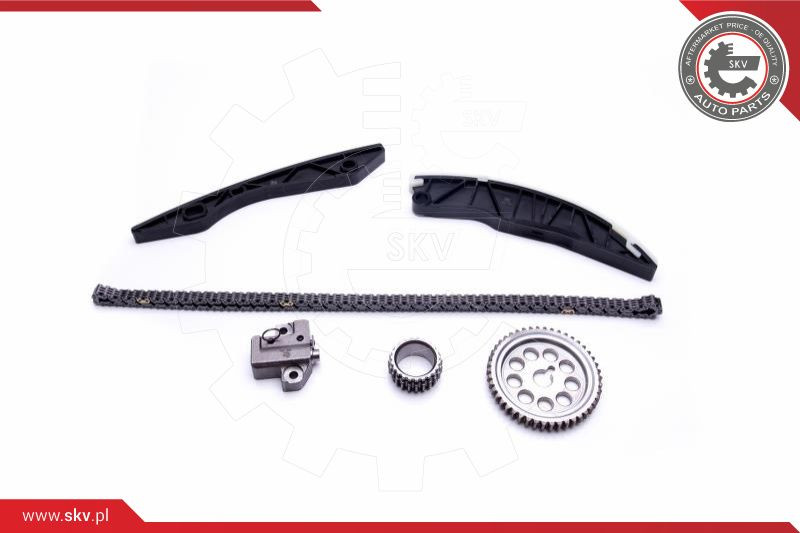 ESEN SKV Steuerkettensatz