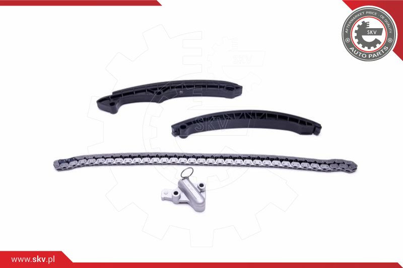 ESEN SKV Steuerkettensatz