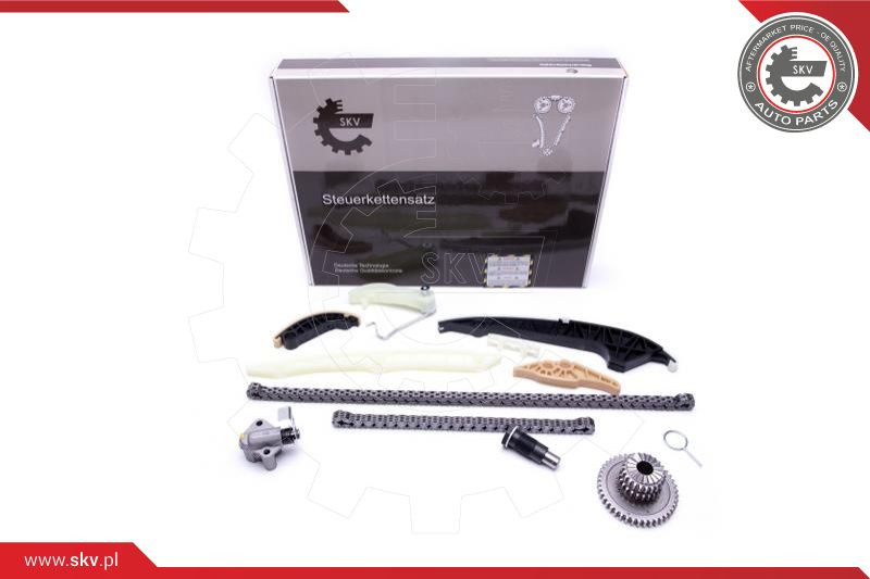 ESEN SKV Steuerkettensatz