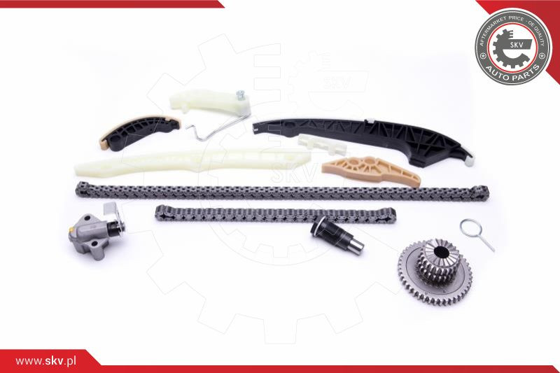 ESEN SKV Steuerkettensatz