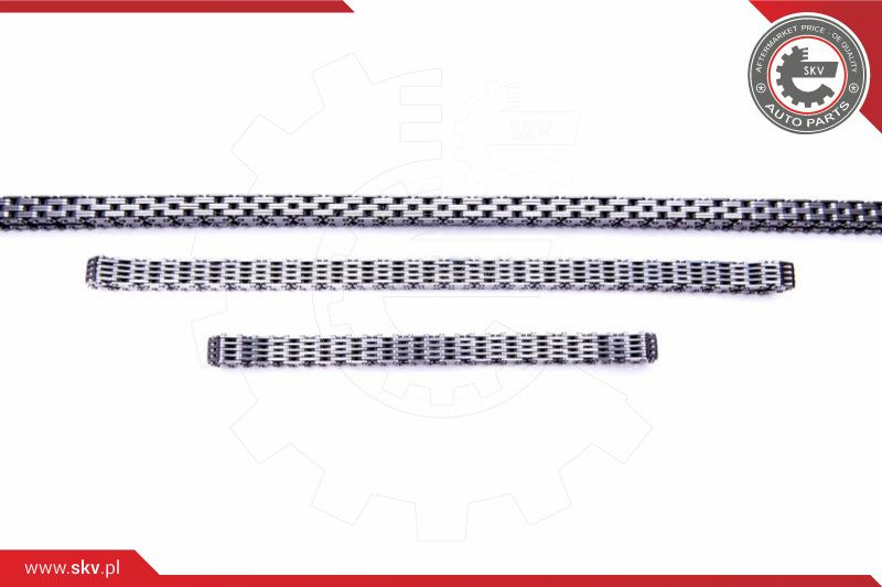 ESEN SKV Steuerkettensatz