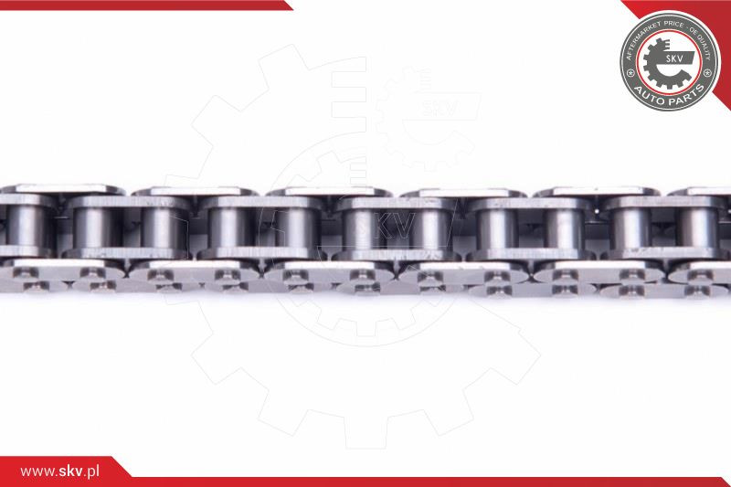 ESEN SKV Steuerkettensatz