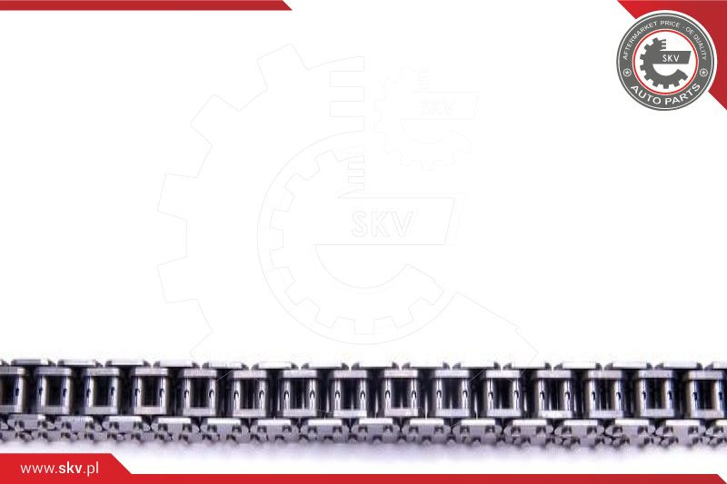 ESEN SKV Steuerkettensatz