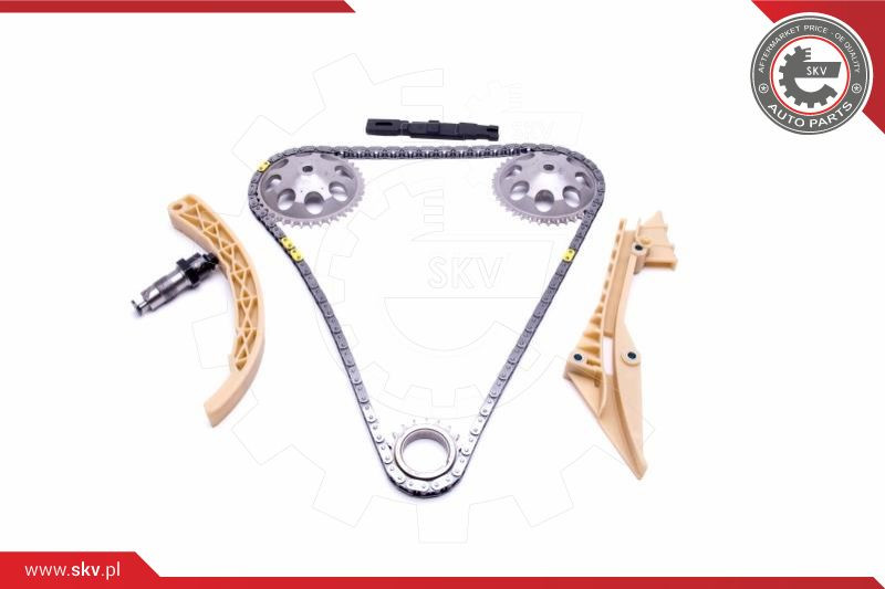 ESEN SKV Steuerkettensatz