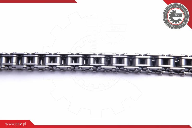 ESEN SKV Steuerkettensatz