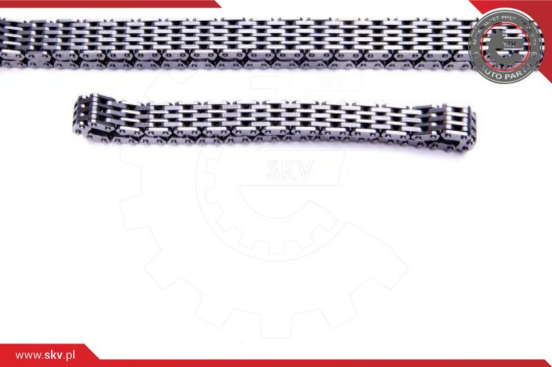 ESEN SKV Steuerkettensatz