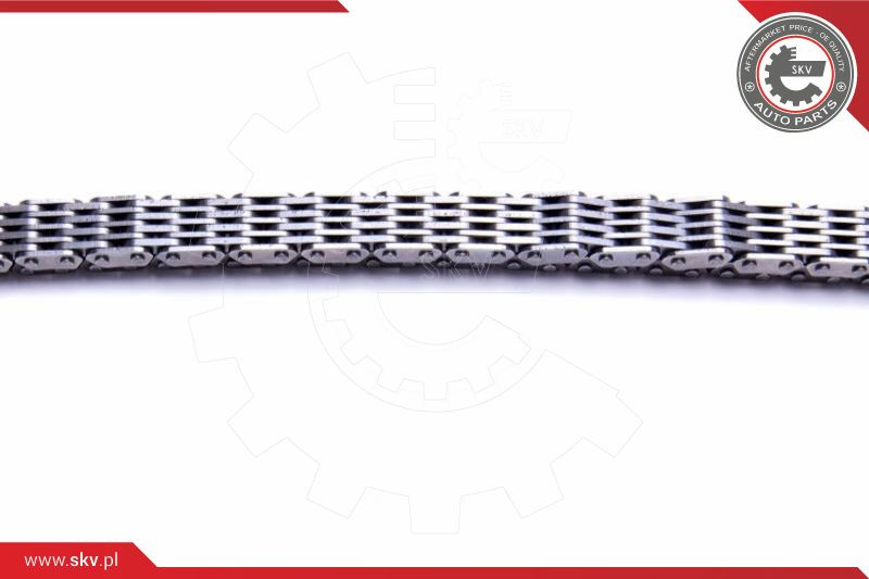 ESEN SKV Steuerkettensatz