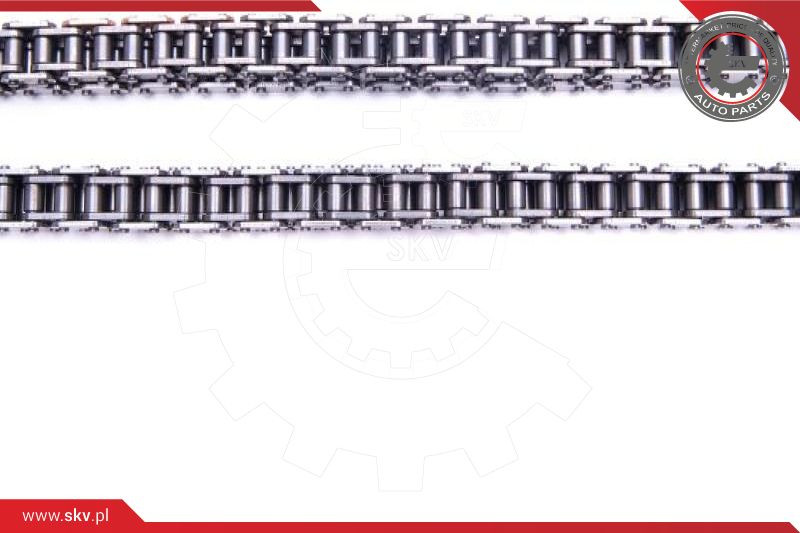 ESEN SKV Steuerkettensatz