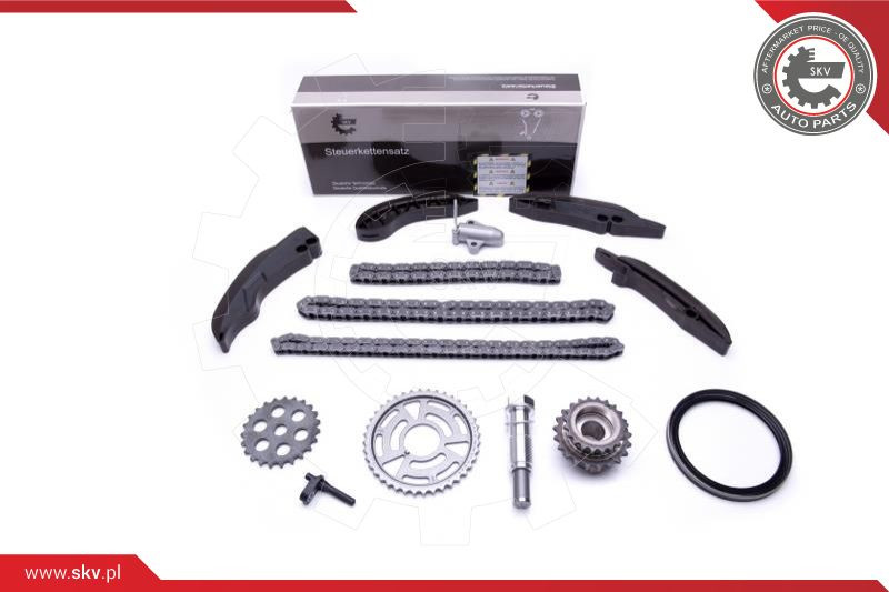 ESEN SKV Steuerkettensatz