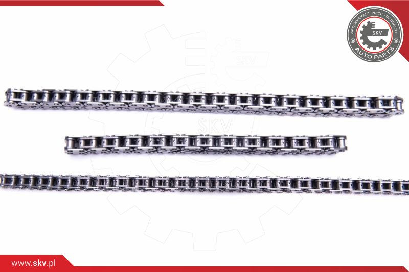 ESEN SKV Steuerkettensatz