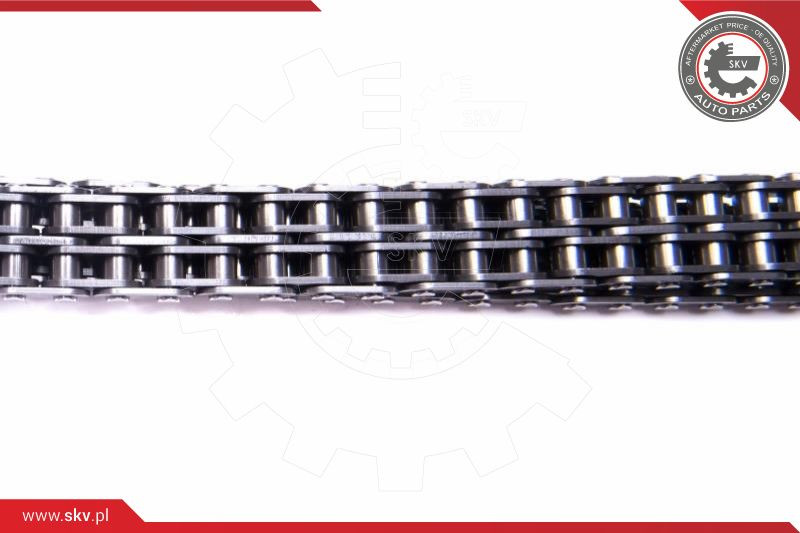 ESEN SKV Steuerkettensatz