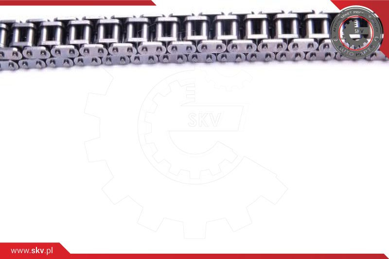 ESEN SKV Steuerkettensatz