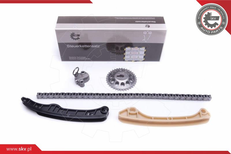 ESEN SKV Steuerkettensatz