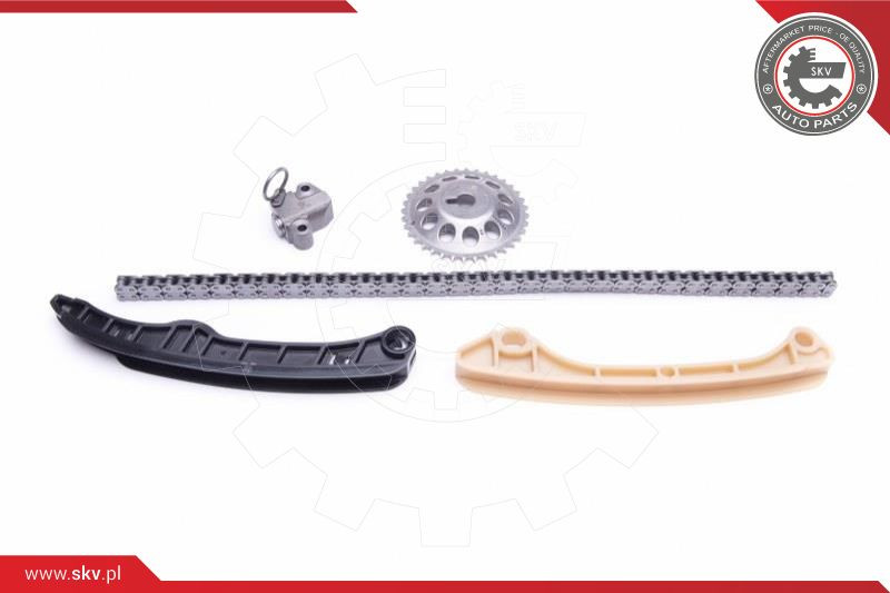 ESEN SKV Steuerkettensatz