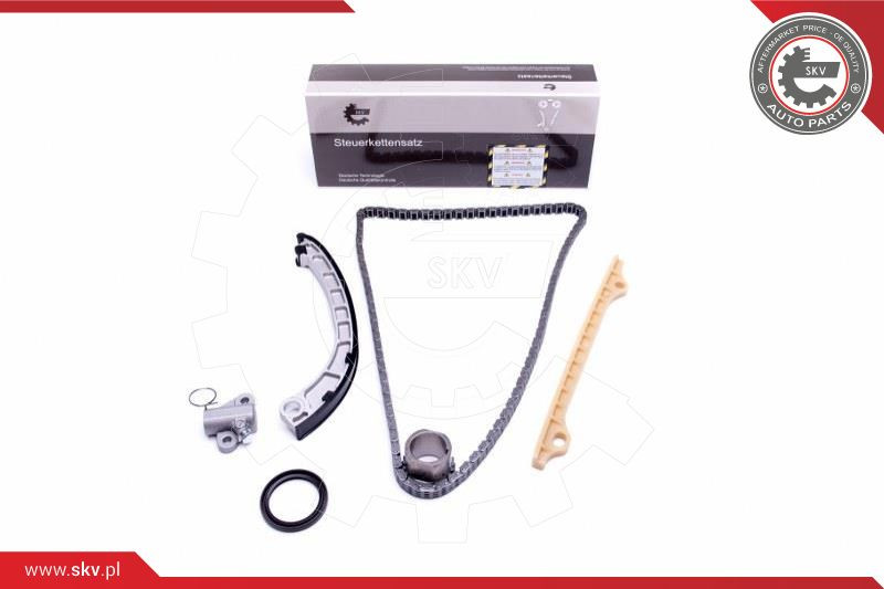 ESEN SKV Steuerkettensatz