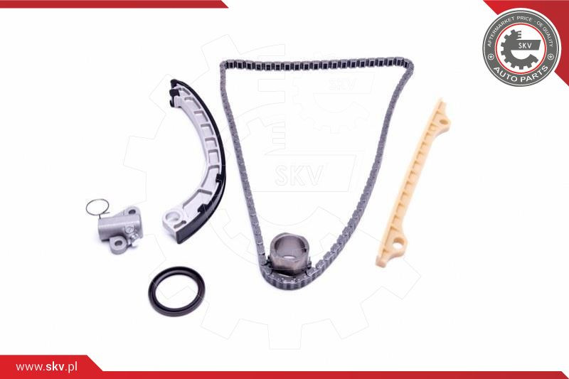 ESEN SKV Steuerkettensatz